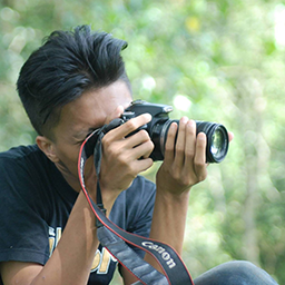 Dwipa