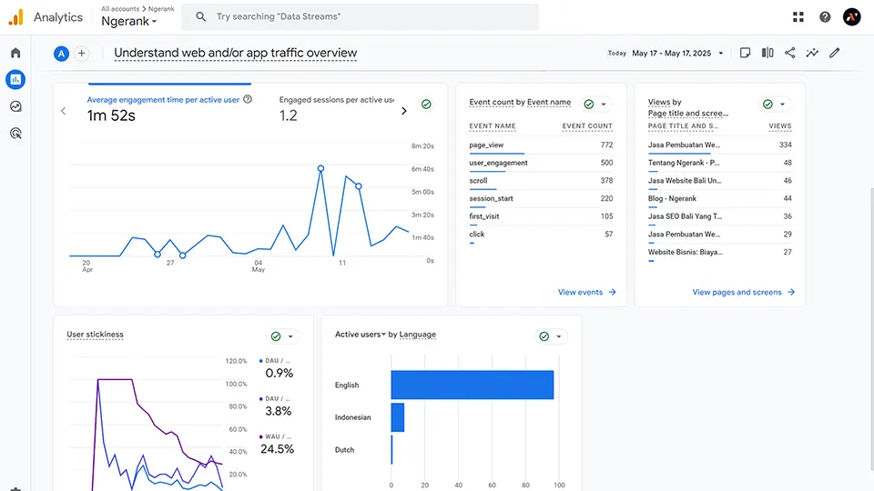 Tampilan Google Analytics Untuk Perkembangan Website